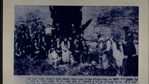 עץ שנטע דר  הרצל1.jpg