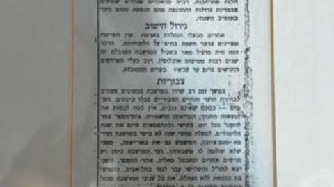 יעקב - כרמים ופרדסים.jpg