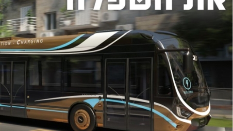 הקו החום.jpg
