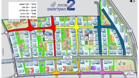 אספלת באקליפטוס.jpg